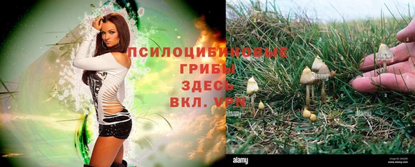 кокаин колумбия Баксан