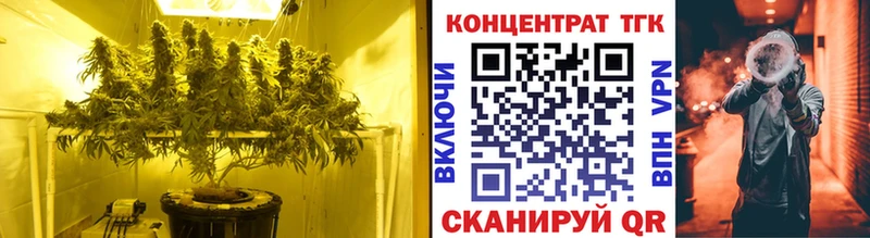 ТГК Wax  маркетплейс как зайти  Тихвин  хочу  
